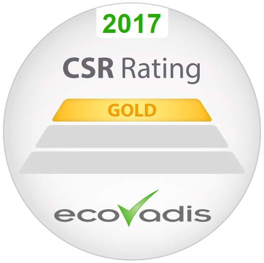 GOLD STATUS BADGE