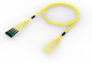 U3GRXUC8U [TRUNK MPO16 64F MPO-STUB SM]