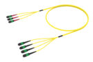 URG2EMPAH [ARRAY 3X4 48F MPO 24F  - MPO 12F SM]
