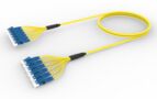 UNGLFLFCD [DBL RUGGED 12F LC UPC-LC UPC SM]
