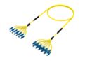 U4GLFLFCF [DBL RUGGED 24F LC UPC-LC UPC SM]