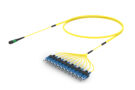 UNGMPSCCD [RUGGED 12F MPO-SC UPC SM]