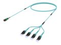 UNXQZLUT8 [RFO 8F MPO MM APC - LC UNIBOOT 8F OM4 MM]