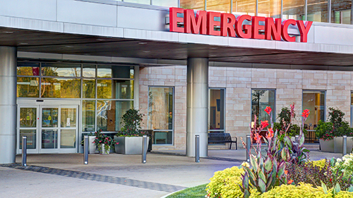 Lyell McEwin Hospital Emergency Department